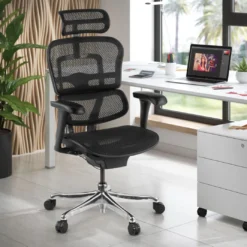Silla ergonómica Ergohuman Gen2, estructura negra