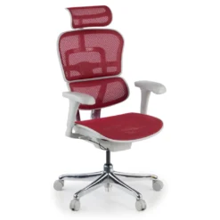 Silla ergonómica Ergohuman gen2, estructura gris