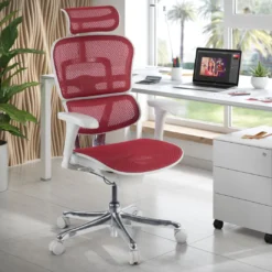 Silla ergonómica Ergohuman gen2, estructura gris