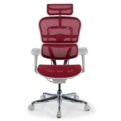 Silla ergonómica Ergohuman gen2, estructura gris