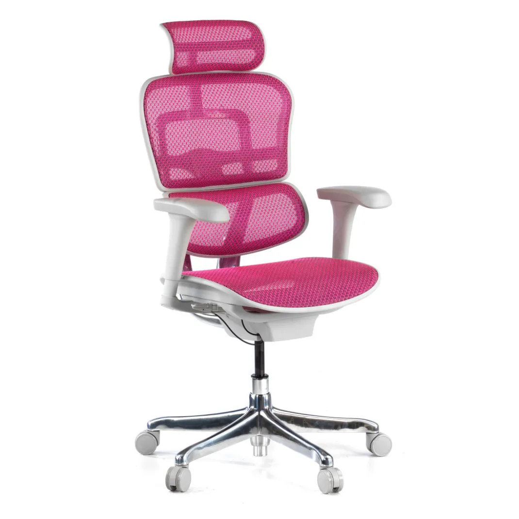 Silla ergonómica Ergohuman gen2, estructura gris
