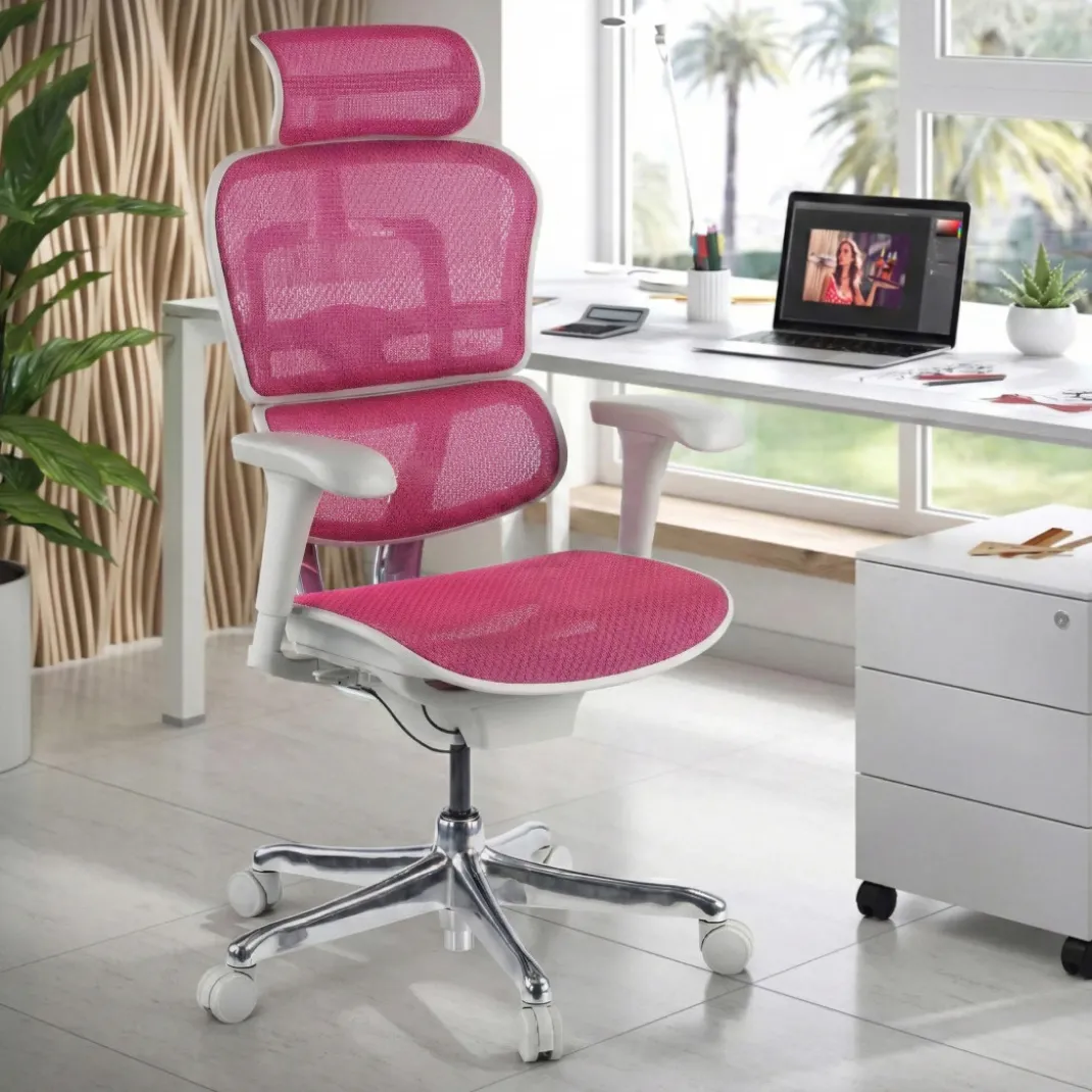 Silla ergonómica Ergohuman gen2, estructura gris