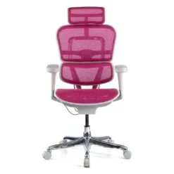 Silla ergonómica Ergohuman gen2, estructura gris