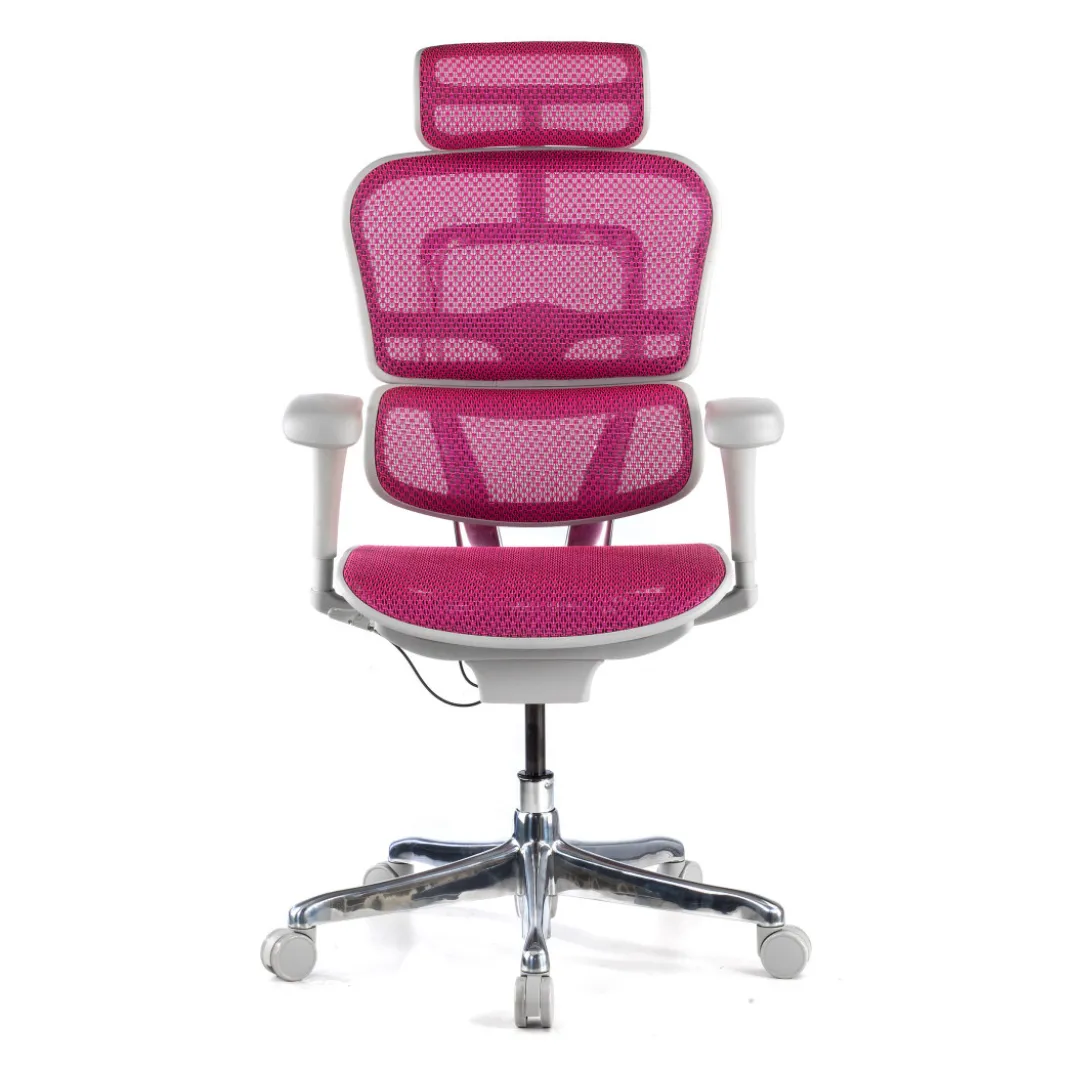 Silla ergonómica Ergohuman gen2, estructura gris