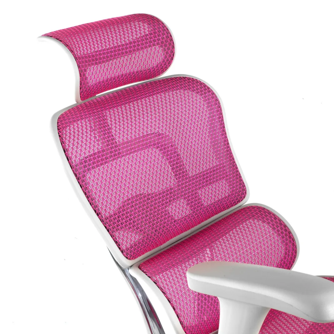 Silla ergonómica Ergohuman gen2, estructura gris