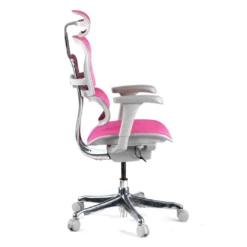 Silla ergonómica Ergohuman gen2, estructura gris
