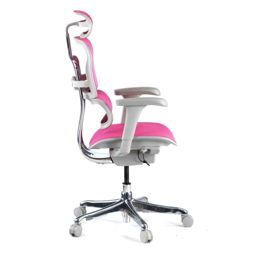 Silla ergonómica Ergohuman gen2, estructura gris