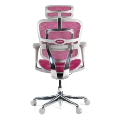 Silla ergonómica Ergohuman gen2, estructura gris