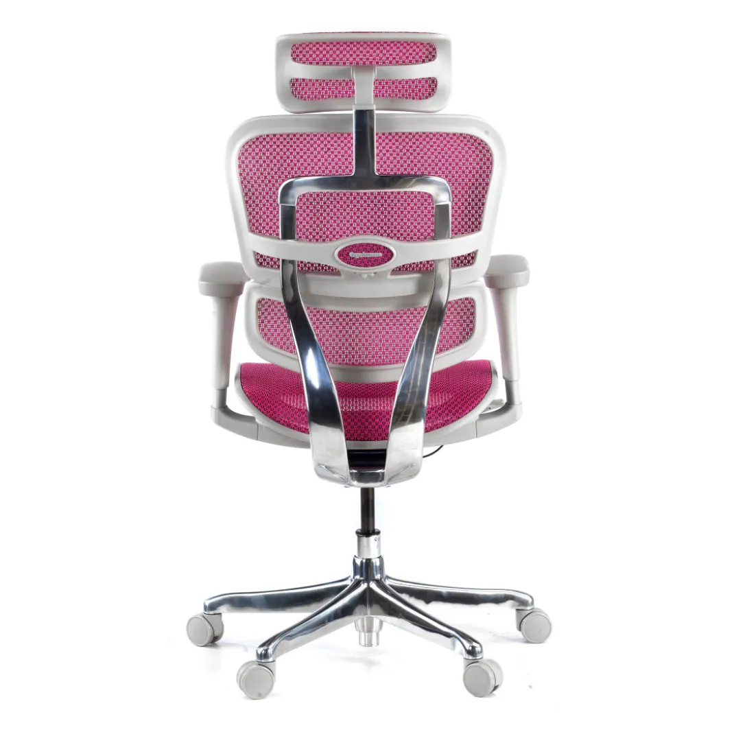 Silla ergonómica Ergohuman gen2, estructura gris