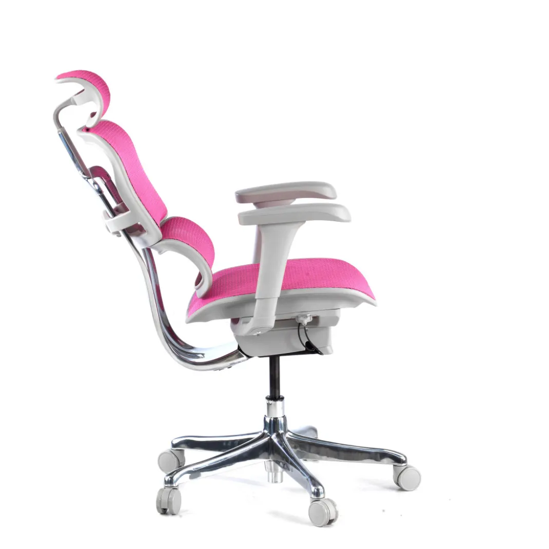 Silla ergonómica Ergohuman gen2, estructura gris