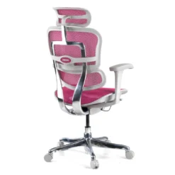 Silla ergonómica Ergohuman gen2, estructura gris