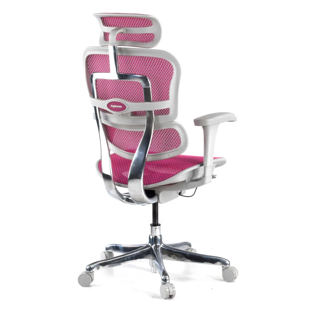 Silla ergonómica Ergohuman gen2, estructura gris