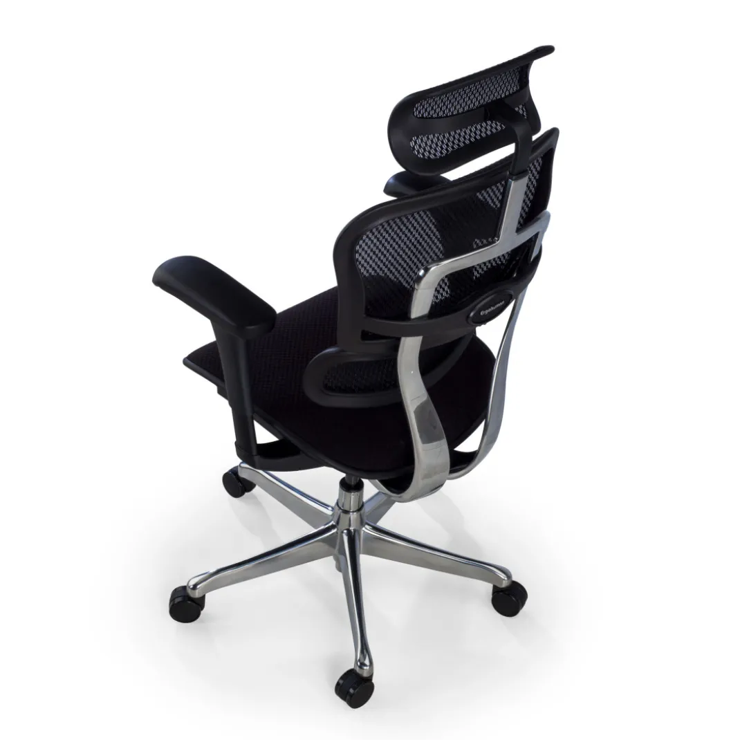 Silla Ergonómica Ergohuman V2, asiento tapizado, estructura negra