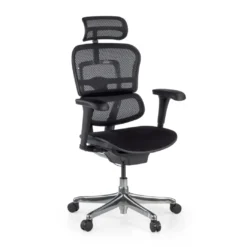 Silla Ergonómica Ergohuman V2, asiento tapizado, estructura negra