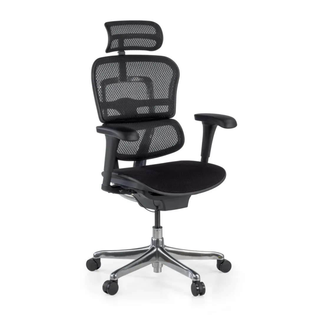 Silla Ergonómica Ergohuman V2, asiento tapizado, estructura negra