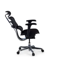 Silla Ergonómica Ergohuman V2, asiento tapizado, estructura negra