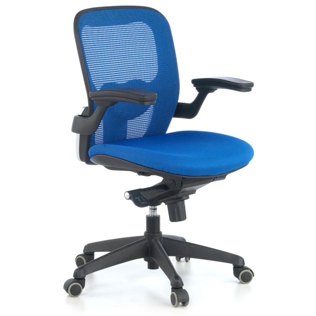 Silla ergonómica Gioconda, soporte lumbar, red