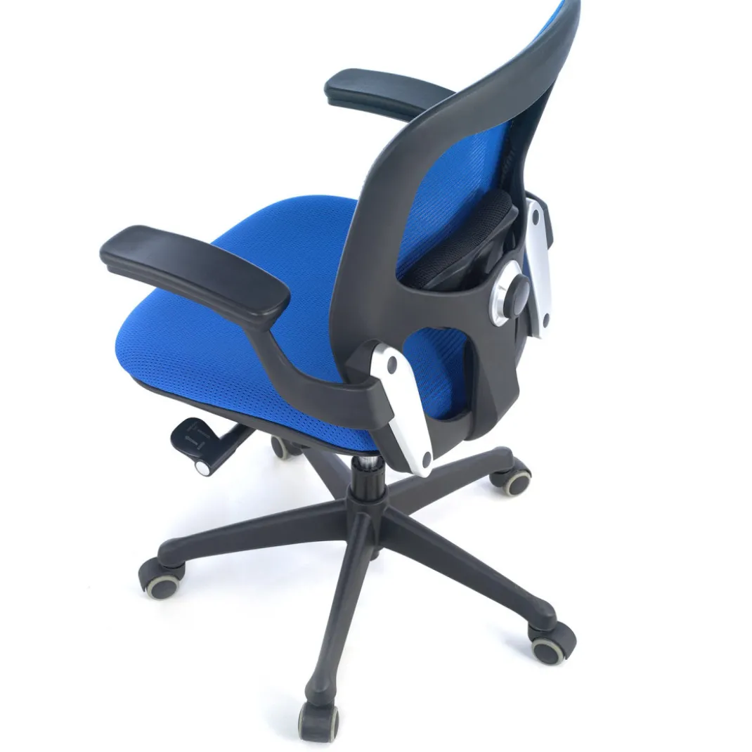Silla ergonómica Gioconda, soporte lumbar, red