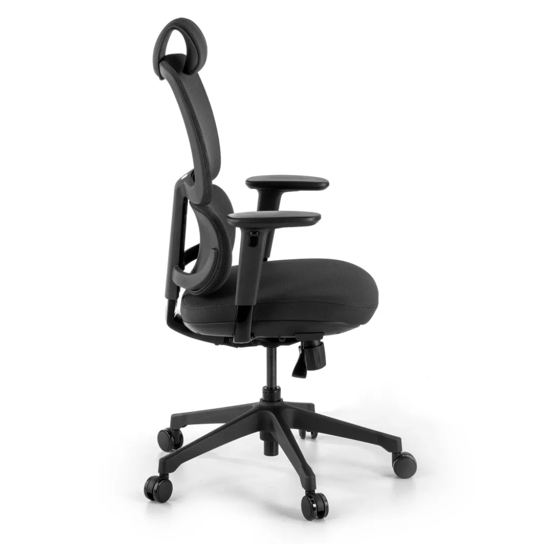 Silla ergonomica Focus, reposacabezas, doble cojin lumbar