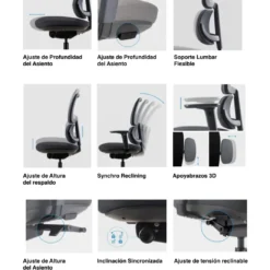 Silla ergonomica Focus, reposacabezas, doble cojin lumbar