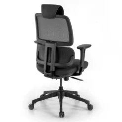 Silla ergonomica Focus, reposacabezas, doble cojin lumbar
