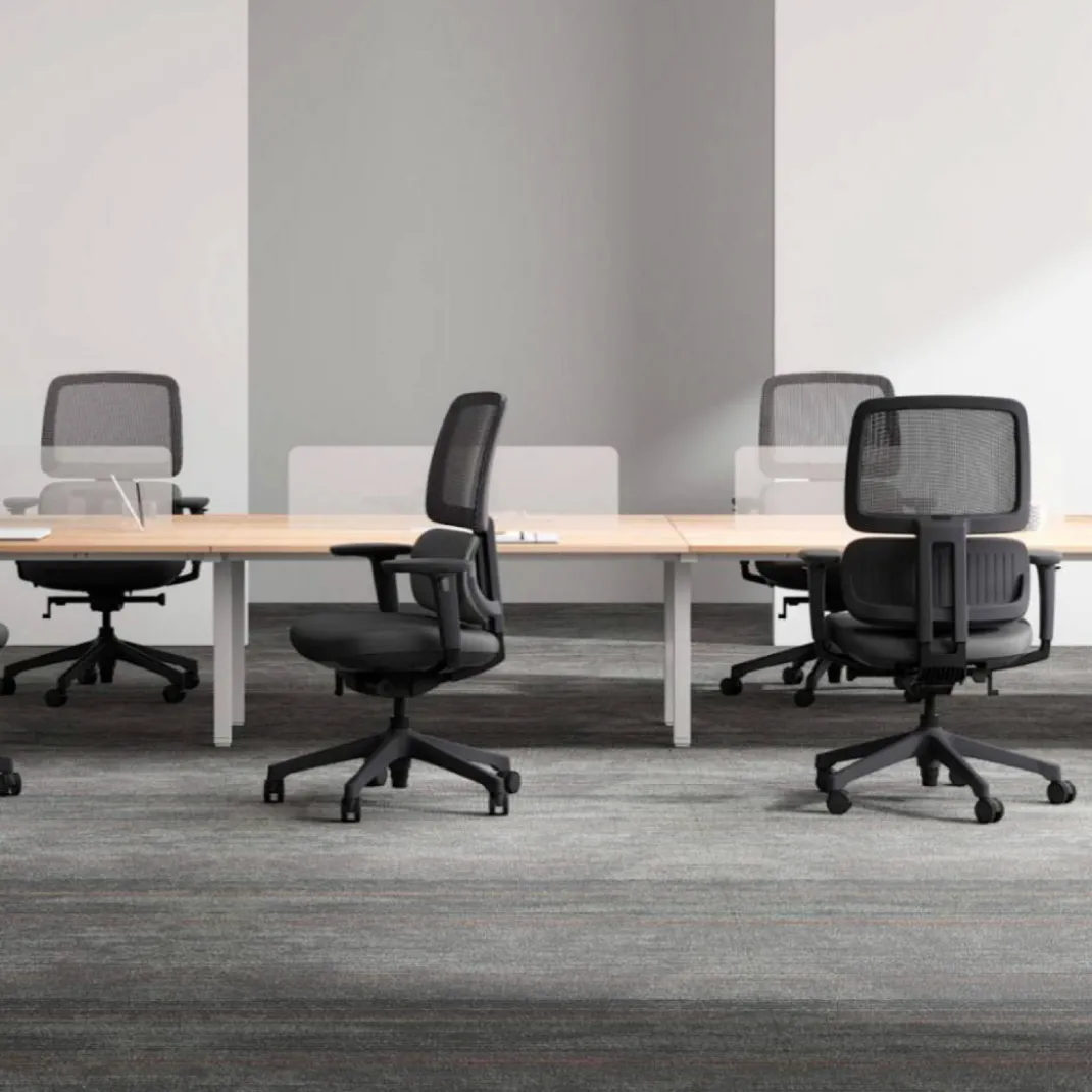 Silla ergonomica Focus, reposacabezas, doble cojin lumbar