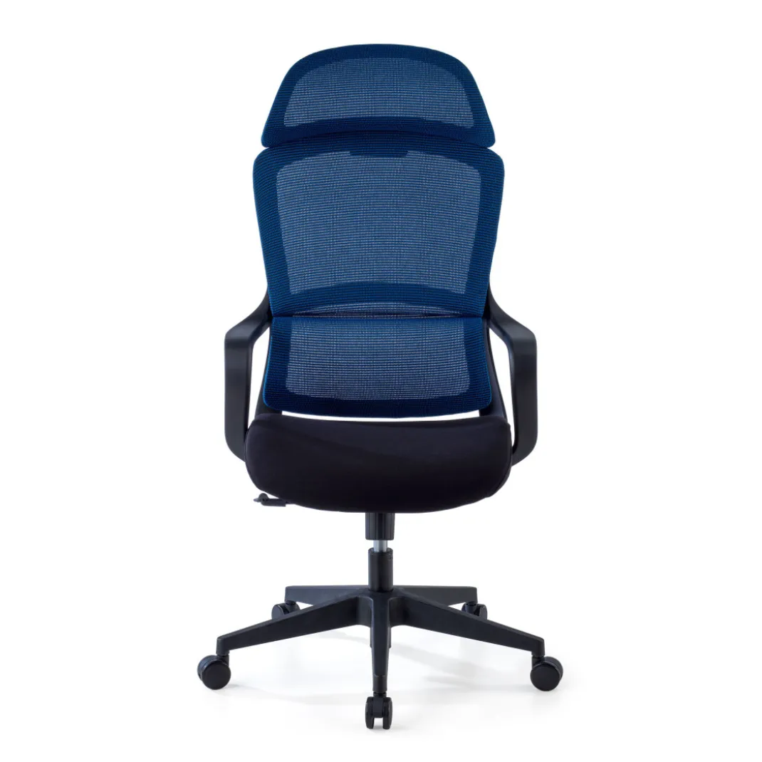 Silla Giratoria de Escritorio Astra, cojin lumbar