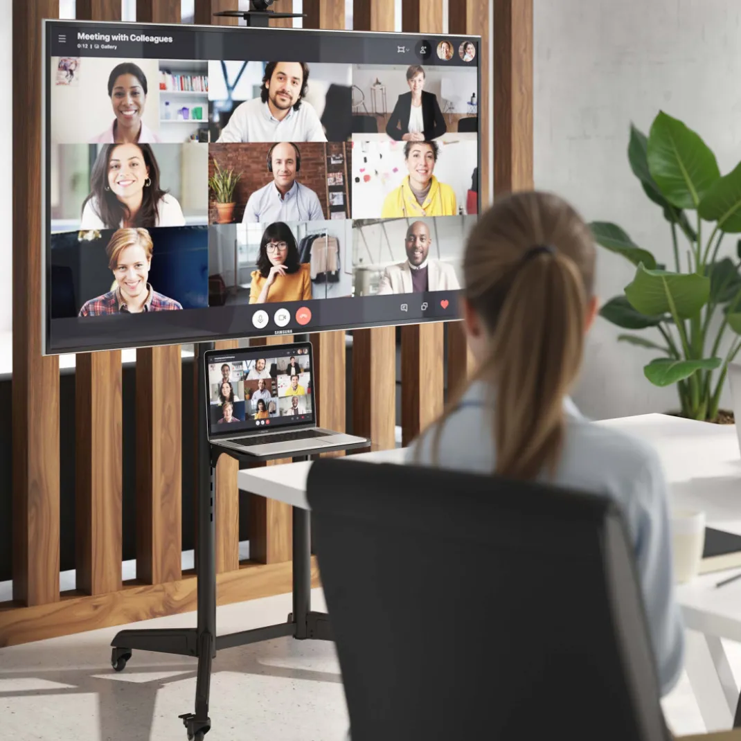 Soporte para televisor regulable profesional
